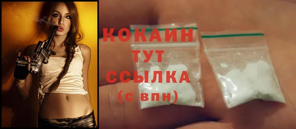 PSILOCYBIN Волосово