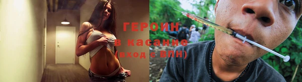 PSILOCYBIN Волосово