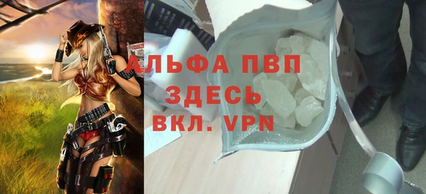 PSILOCYBIN Волосово