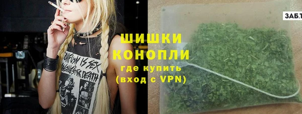 PSILOCYBIN Волосово