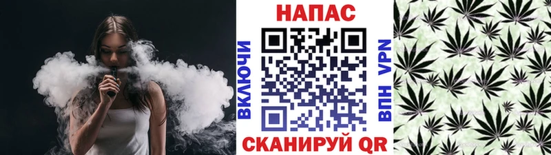 Канабис SATIVA & INDICA  Мурино 